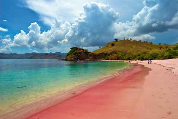 Pink Beach, The Pink in East Lombok